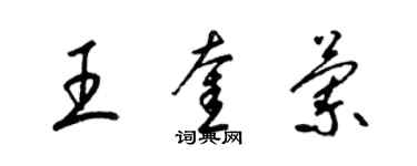 梁錦英王奎蘭草書個性簽名怎么寫