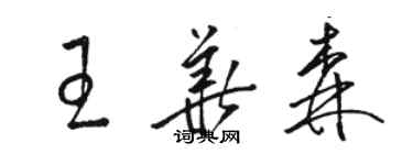 駱恆光王華森草書個性簽名怎么寫