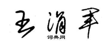 朱錫榮王涓軍草書個性簽名怎么寫