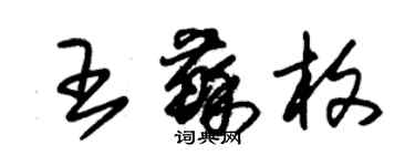 朱錫榮王蘇枚草書個性簽名怎么寫