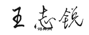 駱恆光王志銳行書個性簽名怎么寫