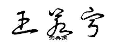 曾慶福王若寧草書個性簽名怎么寫