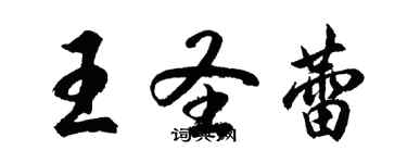 胡問遂王聖蕾行書個性簽名怎么寫