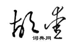 駱恆光胡愛草書個性簽名怎么寫