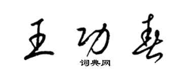 梁錦英王功春草書個性簽名怎么寫