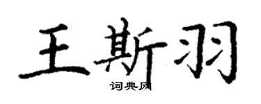 丁謙王斯羽楷書個性簽名怎么寫