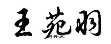 胡問遂王苑羽行書個性簽名怎么寫