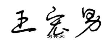 曾慶福王宏男草書個性簽名怎么寫