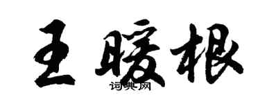 胡問遂王暖根行書個性簽名怎么寫