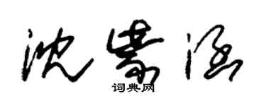 朱錫榮沈紫涵草書個性簽名怎么寫