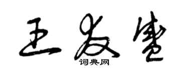 曾慶福王友盛草書個性簽名怎么寫