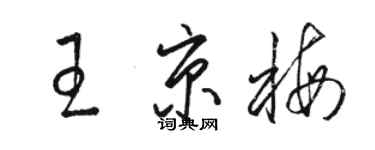 駱恆光王京梅草書個性簽名怎么寫