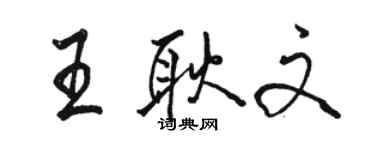 駱恆光王耿文行書個性簽名怎么寫