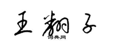 梁錦英王翻子草書個性簽名怎么寫