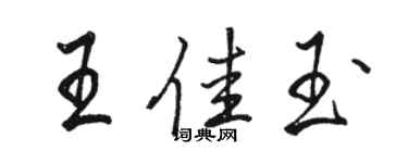 駱恆光王佳玉行書個性簽名怎么寫