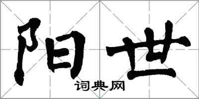 翁闓運陽世楷書怎么寫