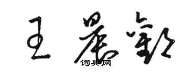 駱恆光王晨歡草書個性簽名怎么寫