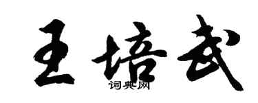 胡問遂王培武行書個性簽名怎么寫