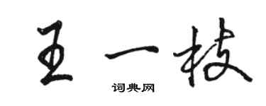 駱恆光王一枝行書個性簽名怎么寫