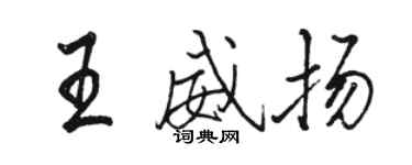 駱恆光王威揚行書個性簽名怎么寫