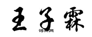 胡問遂王子霖行書個性簽名怎么寫