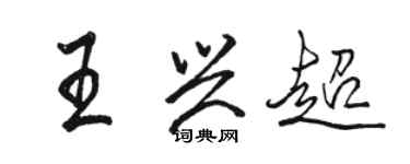 駱恆光王興超行書個性簽名怎么寫