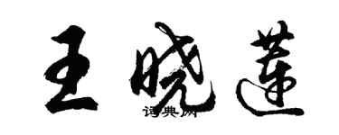 胡問遂王曉蓮行書個性簽名怎么寫