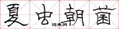 駱恆光夏蟲朝菌隸書怎么寫