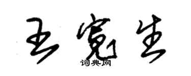 朱錫榮王寬生草書個性簽名怎么寫