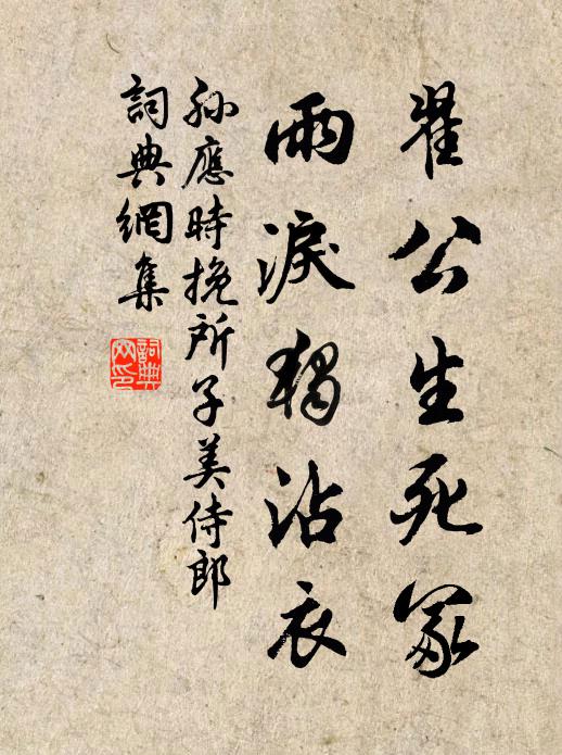 但掛百錢時一醉,從教風雨濕漁蓑 詩詞名句