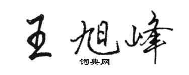 駱恆光王旭峰行書個性簽名怎么寫