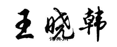 胡問遂王曉韓行書個性簽名怎么寫