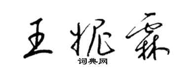 梁錦英王妮霖草書個性簽名怎么寫