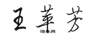 駱恆光王苹芳行書個性簽名怎么寫