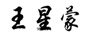 胡問遂王星蒙行書個性簽名怎么寫