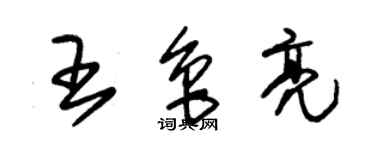 朱錫榮王魯亮草書個性簽名怎么寫