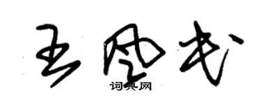 朱錫榮王風民草書個性簽名怎么寫