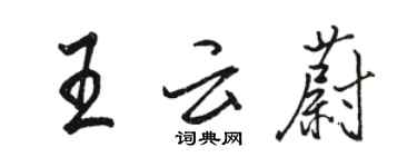 駱恆光王雲蔚行書個性簽名怎么寫