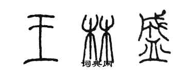 陳墨王林盛篆書個性簽名怎么寫