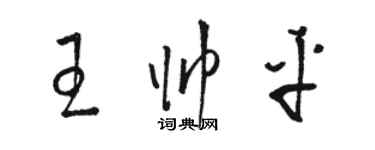 駱恆光王帥平草書個性簽名怎么寫