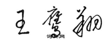 駱恆光王鷹翔草書個性簽名怎么寫