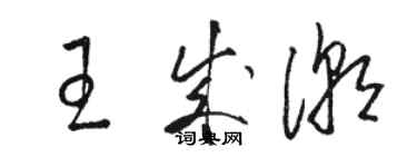 駱恆光王成潮草書個性簽名怎么寫