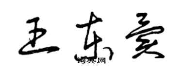 曾慶福王東異草書個性簽名怎么寫