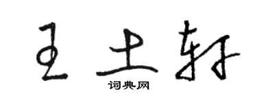 駱恆光王土軒草書個性簽名怎么寫