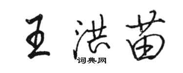 駱恆光王洪苗行書個性簽名怎么寫