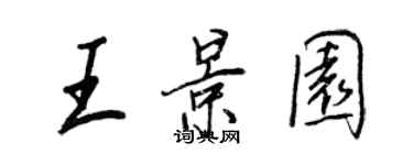 王正良王景園行書個性簽名怎么寫