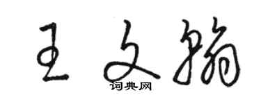 駱恆光王文翰草書個性簽名怎么寫