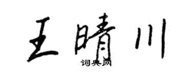 王正良王晴川行書個性簽名怎么寫