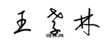 梁錦英王孝林草書個性簽名怎么寫