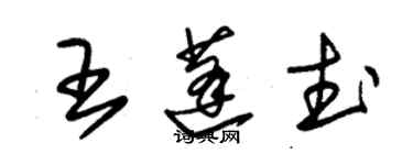 朱錫榮王蓬武草書個性簽名怎么寫